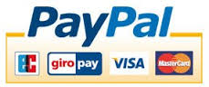 Paypal Payment