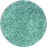 Polier- und Schleifscheibe